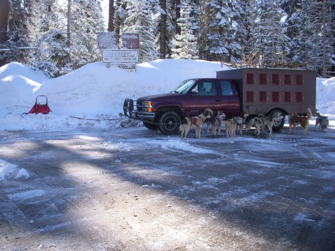 1994 Chevy Cheyenne musher truck