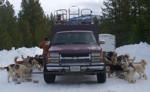 1994 Chevy Cheyenne musher truck
