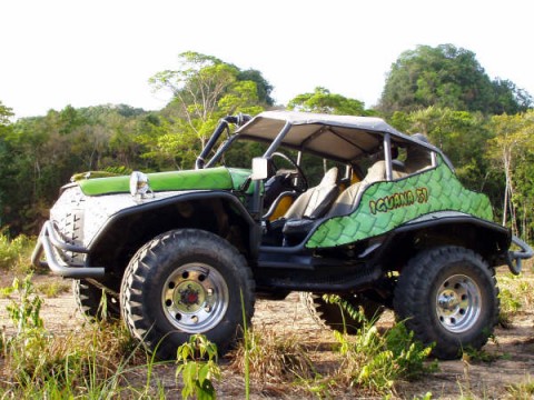 The Iguana Off Road Vehicle