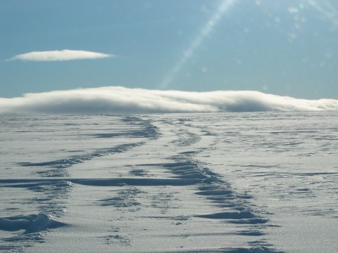 Ice cap track