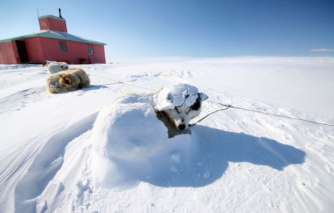 Magnetic North Pole OffRoad