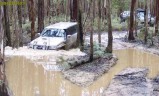 Mt. Disappointment - Australia