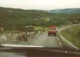 Norway Discovery - MacGyver