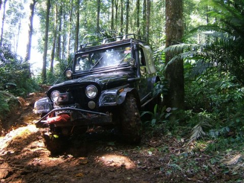 Jeep CJ-7, 6 cylinder in line 4, 200cc (258cid), 1981 made