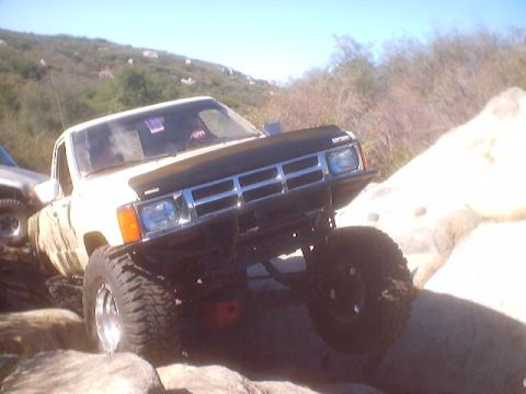 1984 Toyota Std Cab