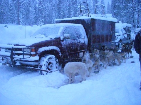 1994 Chevy Cheyenne musher truck