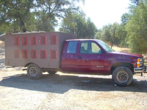 1994 Chevy Cheyenne musher truck