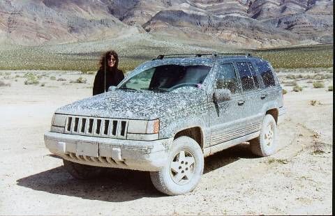 1995 Grand Cherokee Larado