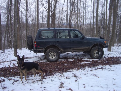 1995 Toyota Landcruiser FZJ80