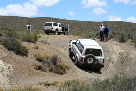 1996 Toyota Land Cruiser 80 series 4500 Petrol