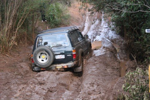 1996 Toyota Landcruiser, 80 series