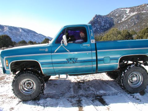 1979 Chevy Silverado 396 big block 