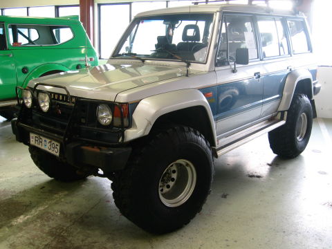 Mitsubishi Pajero 38