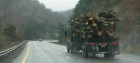 Trees on truck