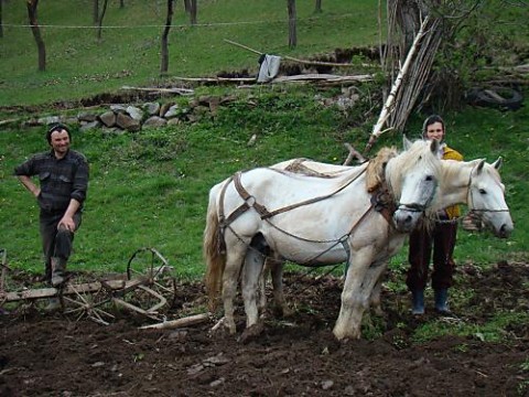 Off Road Adventure Romania