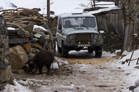 Off Roading Expedition - Caucasus Georgia