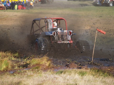 Sofia Schollin-Borg driving Affe.