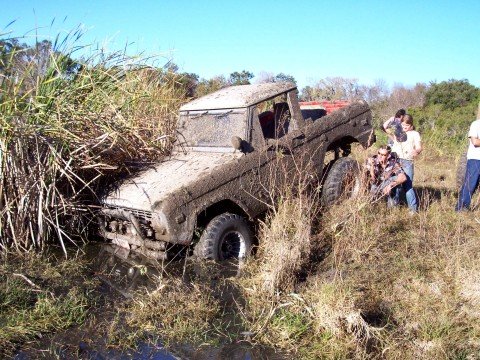 1975 Ford Bronco